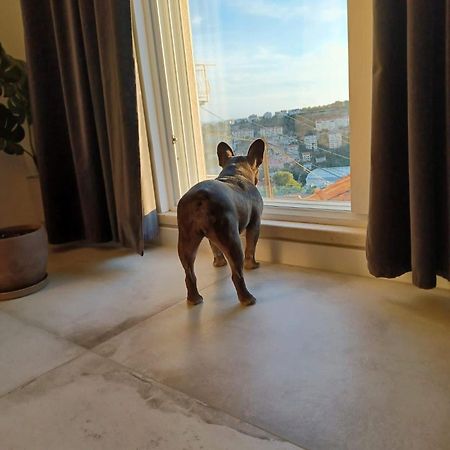 Apartment Eni Dubrovnik Bagian luar foto